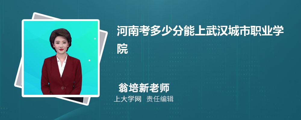 河南考多少分能上武汉城市职业学院 附-录取分数线